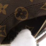 Louis Vuitton Monogram Palm Springs Backpack Mini Bag M41562 Brown